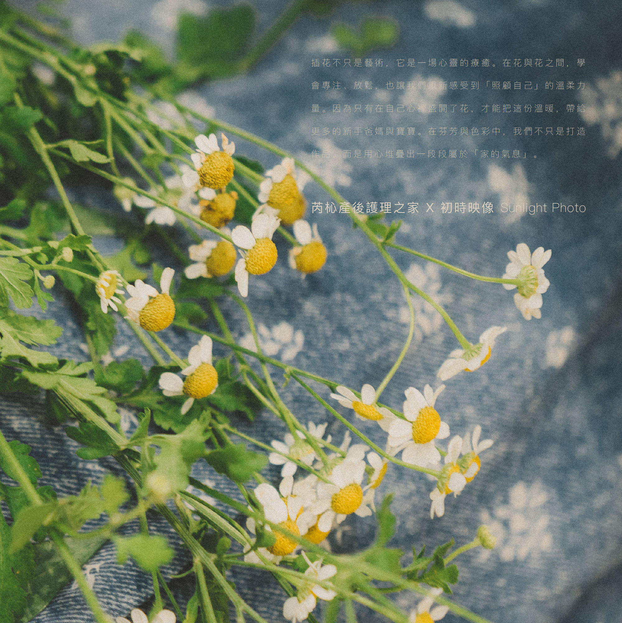 花語心聲｜一場藝術與心靈的療癒｜